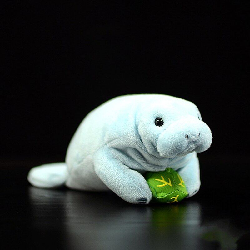 manatee teddy