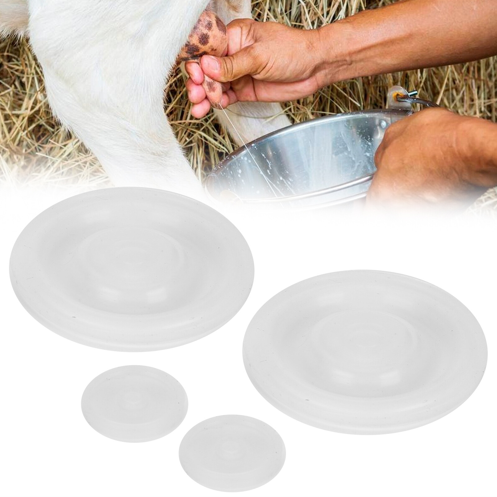 Máy vắt sữa bò cao su 4 cái màng chắn cho hl‑ p07 máy vắt sữa bò phụ tùng