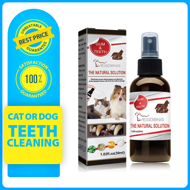 Xịt nha khoa cho thú cưng xịt chăm sóc răng miệng bạc hà Xịt khử mùi miệng cho thú cưng Chó mèo hôi miệng làm sạch răng