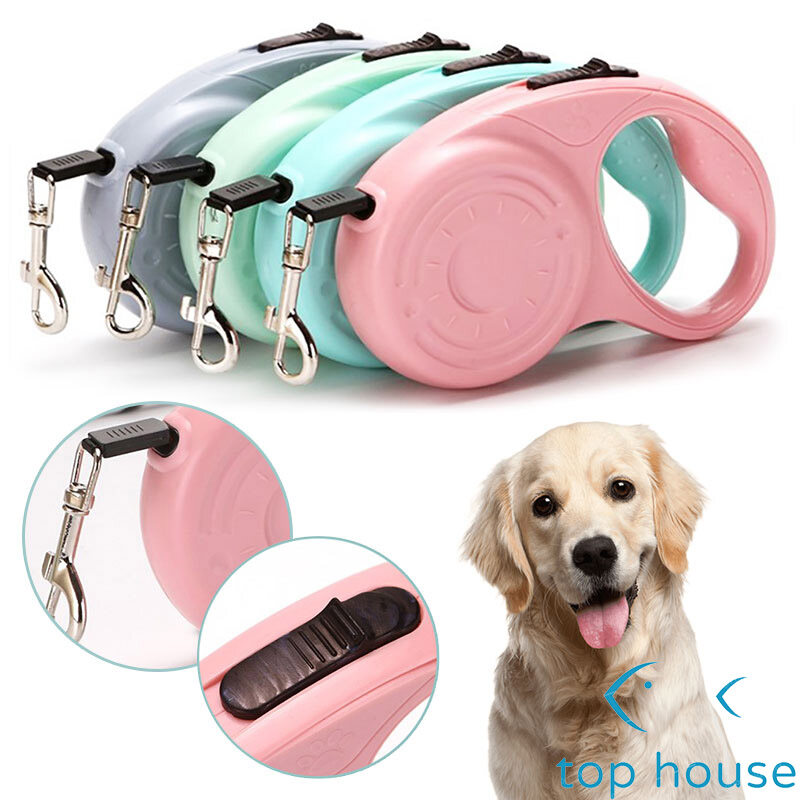 house leash for puppy