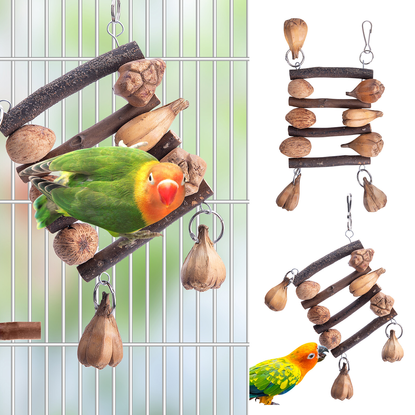 Dadagou đồ chơi cho vẹt đồ chơi nhai gặm cho chim thú cưng an toàn chống trầy xước tháo lắp linh hoạt cho vẹt vẹt vẹt thân thiện với môi trường