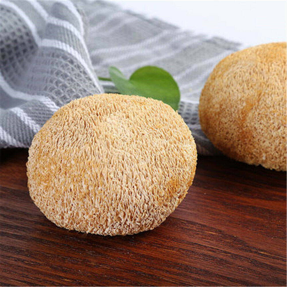 100% Organic 500g Natural Dried Lion's Mane Mushroom Chinese Herbs Green Food ราคา 461 บาท*ส่งฟรี
