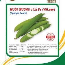 Hạt giống mướp hương 7 lá f1 gói 2 gram