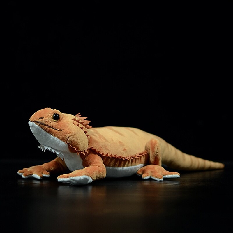 stuffed gecko toy