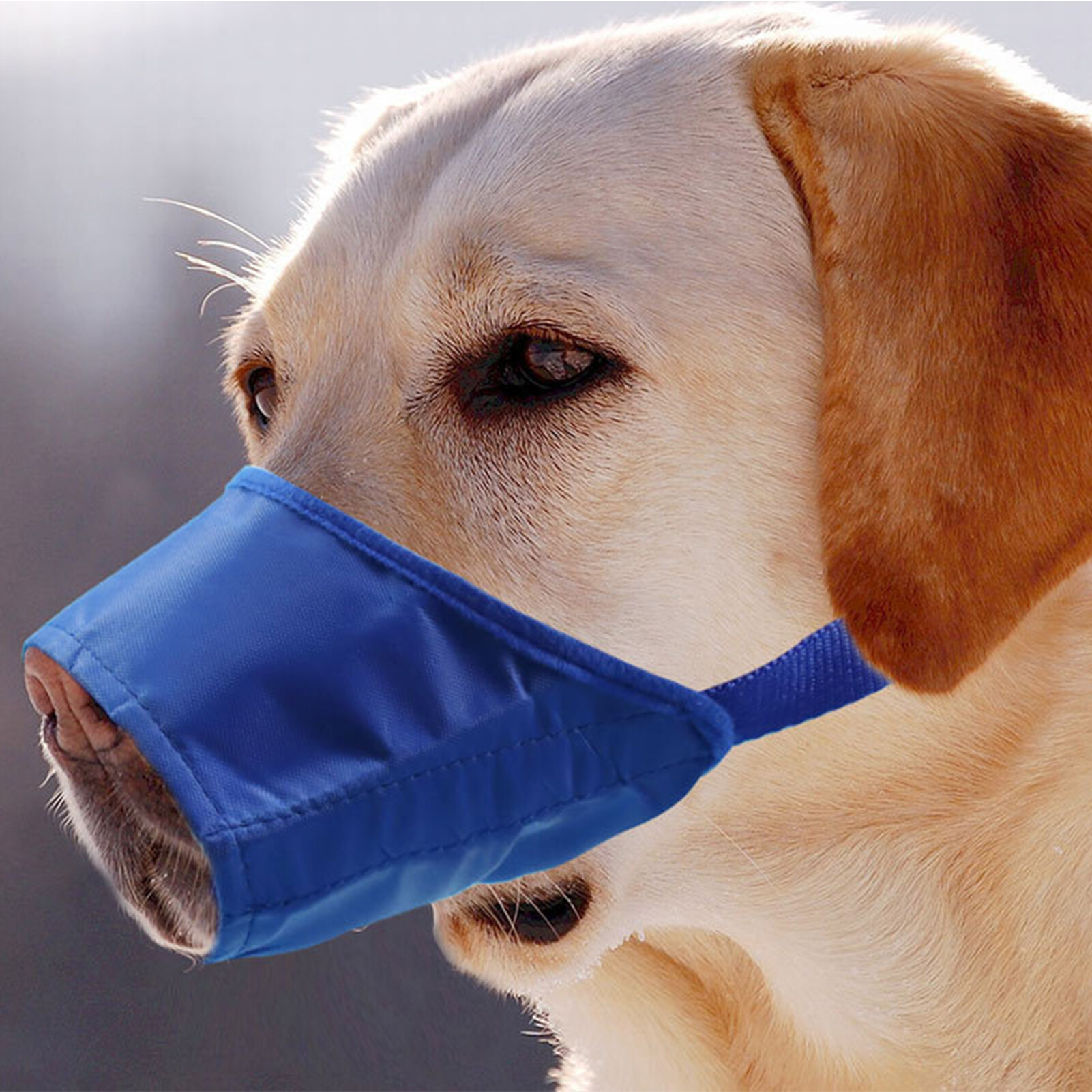 Mõm chó Có Thể Điều Chỉnh chống sủa Polyester Chống-Cắn Pet Miệng Bìa Cho Con Chó Con Hữu Ích Miệng Mõm