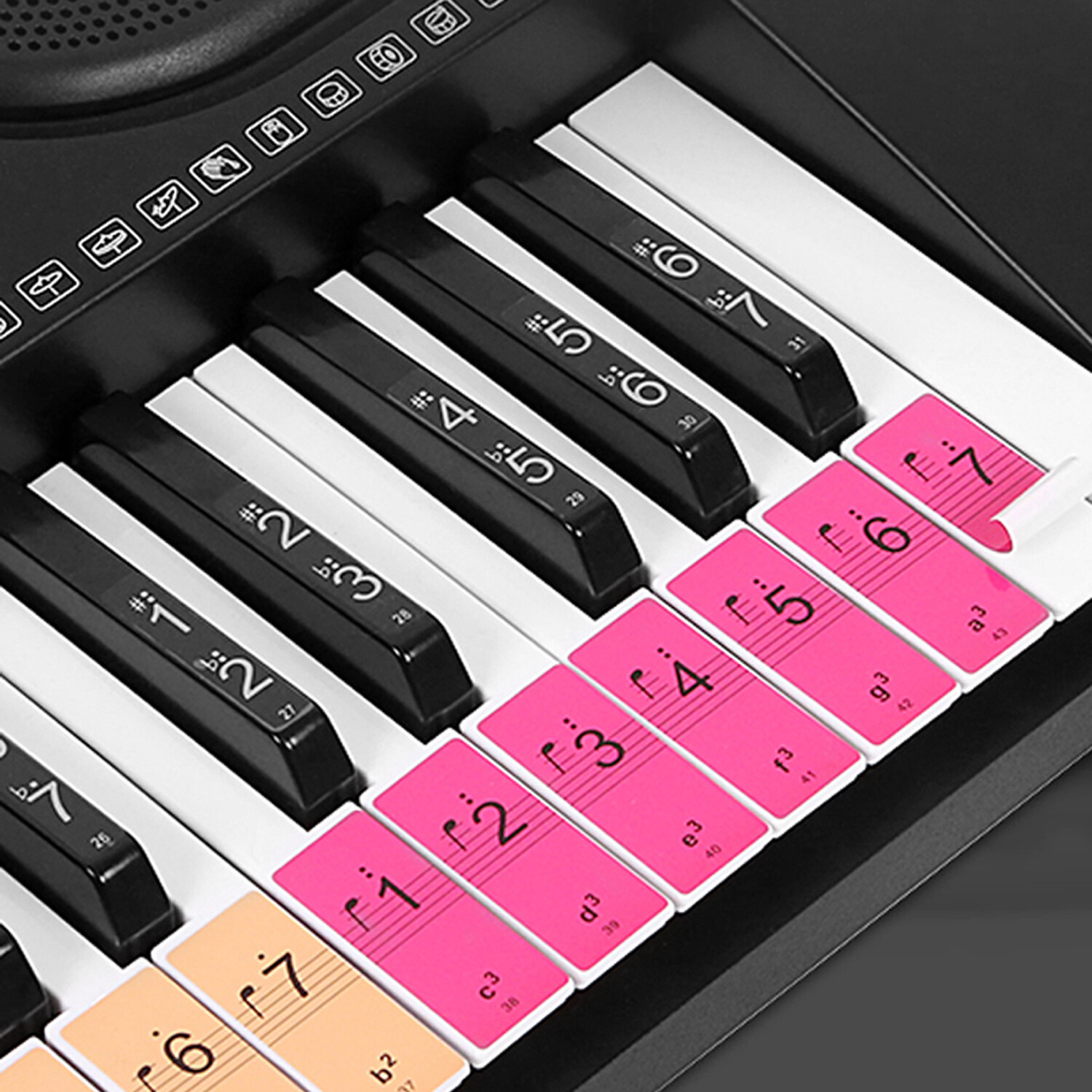 ammoonPiano Keyboard Keys Stickers for Beginners for 88 61 54 Keys Piano