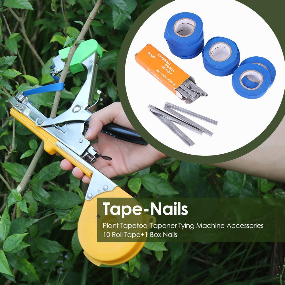 Vật có tapetool tapener buộc dây phụ kiện máy 10 cuộn băng keo + 1 hộp móng tay