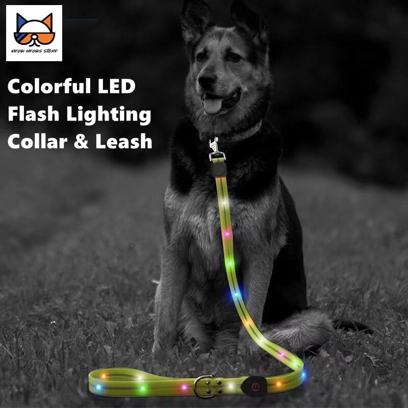 Dây Xích chó đèn LED & Bộ Vòng cổ thú cưng dây nylon phản quang không thấm