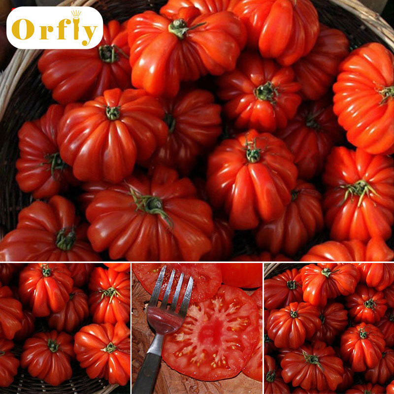 Orfly 50 Cái/túi Hot Hiếm Cà Chua Ngọt Rau Quả Hạt Giống Nhà Vườn Cây Cảnh Hạt Giống Cây Trồng