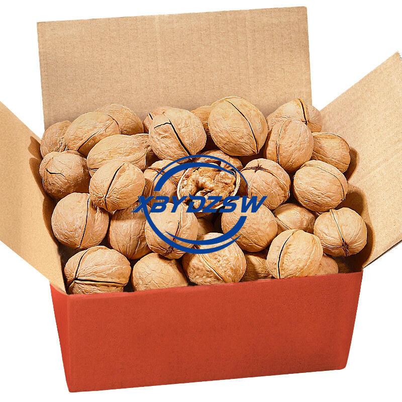 【XBYDZSW】【จัดส่งที่รวดเร็วจากสต็อก】สินค้าปีใหม่ วอลนัทอบผิวบาง เกลือและพริกไทย วอลนัท 500g ถั่วแห้ง ราคา 169 บาท*ส่งฟรี