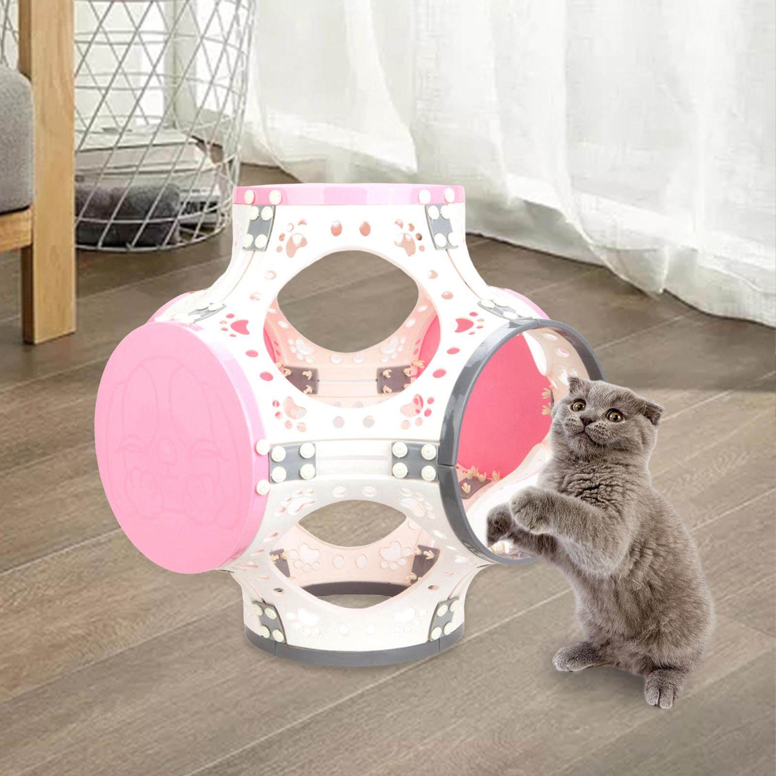 Ccwonder ống hầm chơi cho mèo đồ chơi tương tác cho thú cưng đào tạo