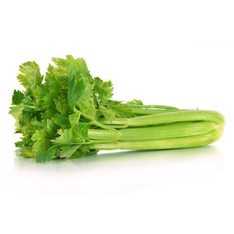 Hạt giống rau cần tây làm gia vị xào món ăn gói 5gram