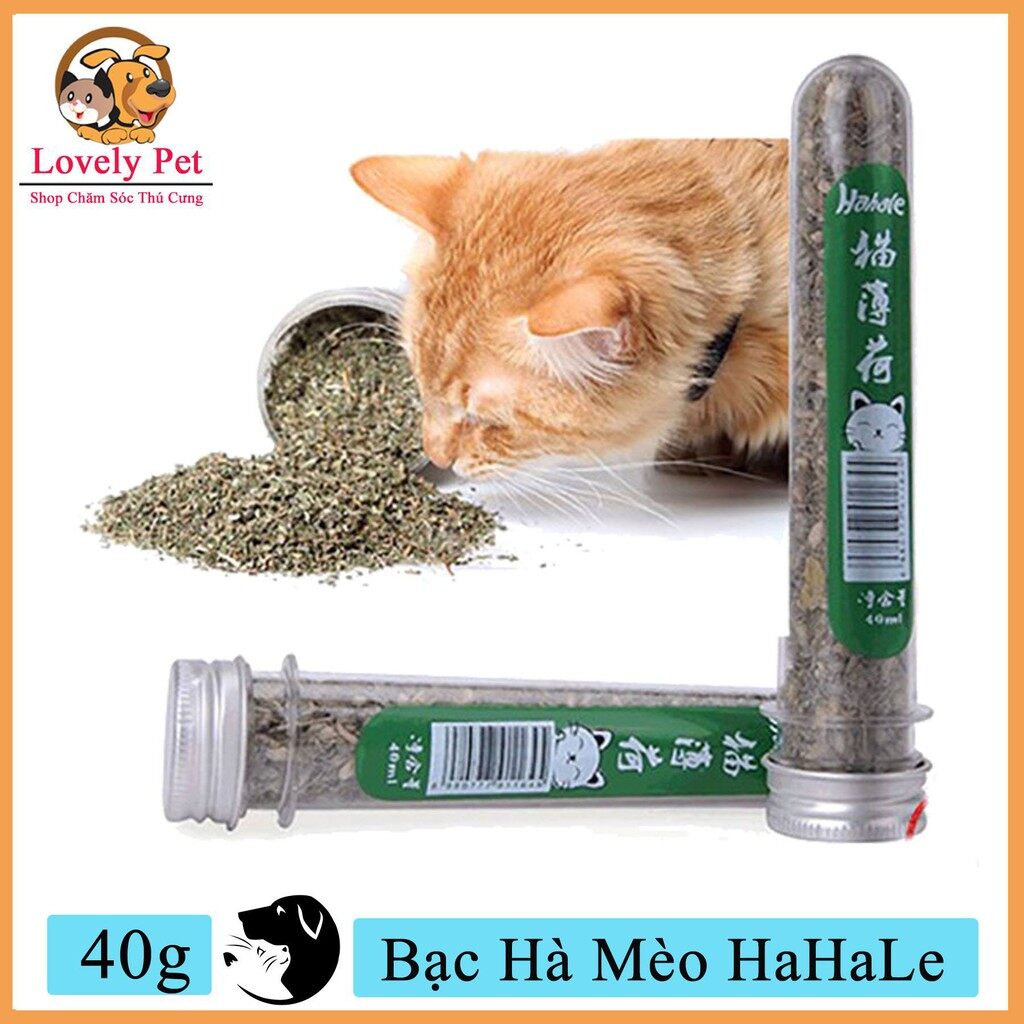 Lovely Pet FamiLy - Bạc Hà Mèo HaHaLe