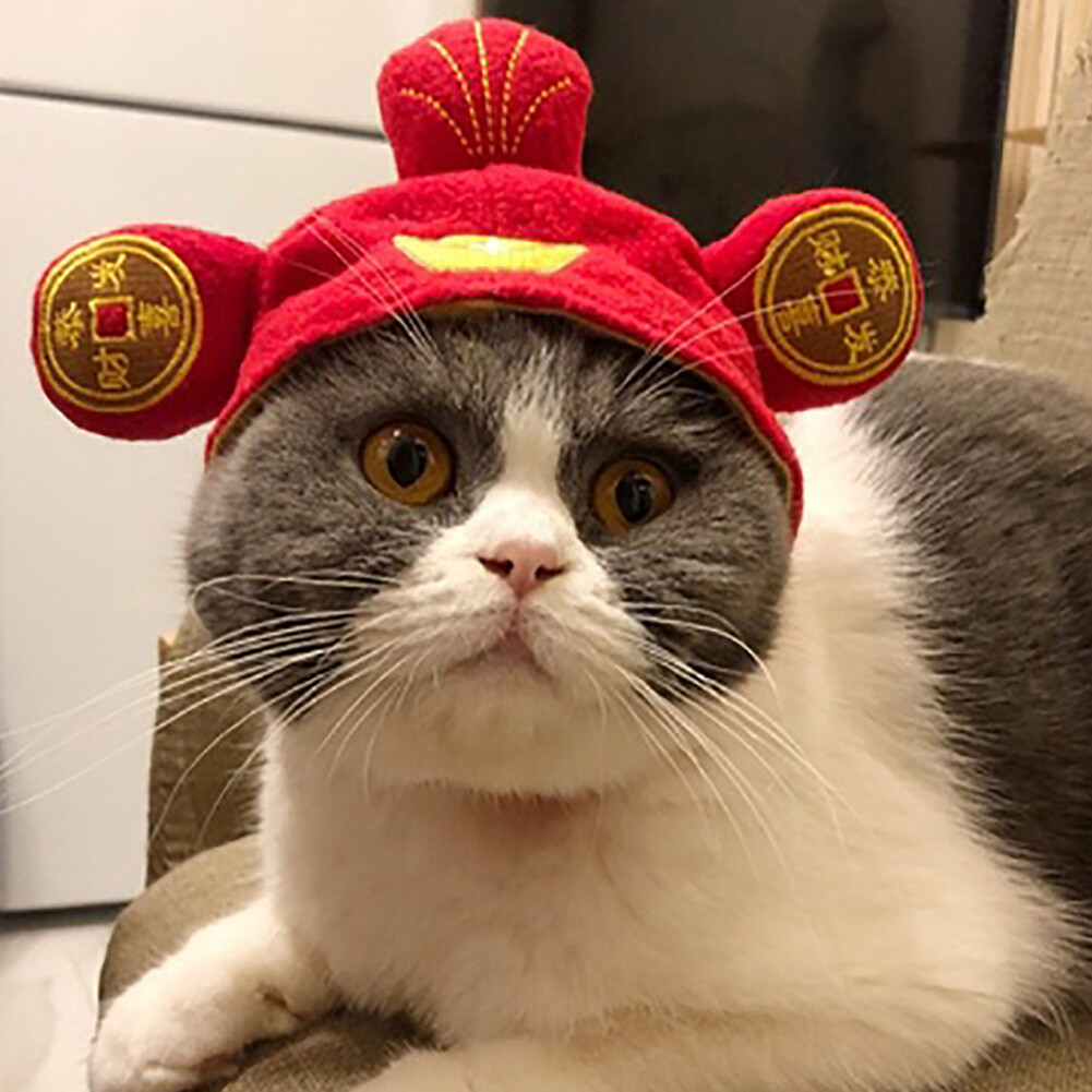 Huanhuang®Mũ Bông Dễ Thương Cho Chó Cưng Teddy Cat, Mũ Đội Đầu Cho Cún Con Đầu Trang Trí