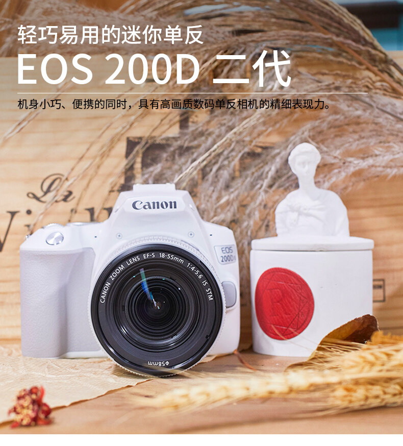 canon 200d white colour