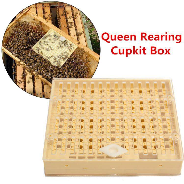 Generic Complete Queen Rearing Kit Bee King Incubator Jumia Nigeria