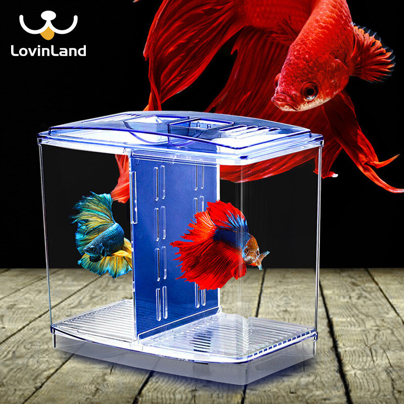 Lovinland Bể Cá Guppy Acrylic Bể Cá BettaFish Bể Cá Hộp Cách Ly Nhân Giống Bể Cá Trong Suốt