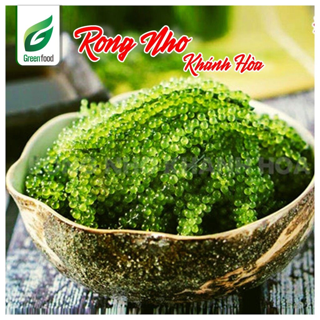 Rong Nho tách nước Khánh Hòa (25g) - Theo công nghệ Tách nước Nhật bản(Rong nho 25gr)