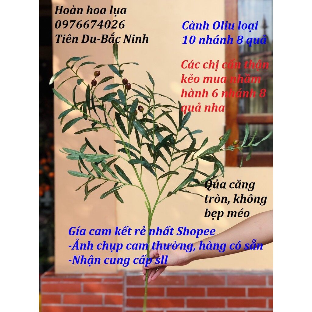 Cành oliu 10 nhánh 8 quả hàng cao cấp trang trí giống thật 99%
