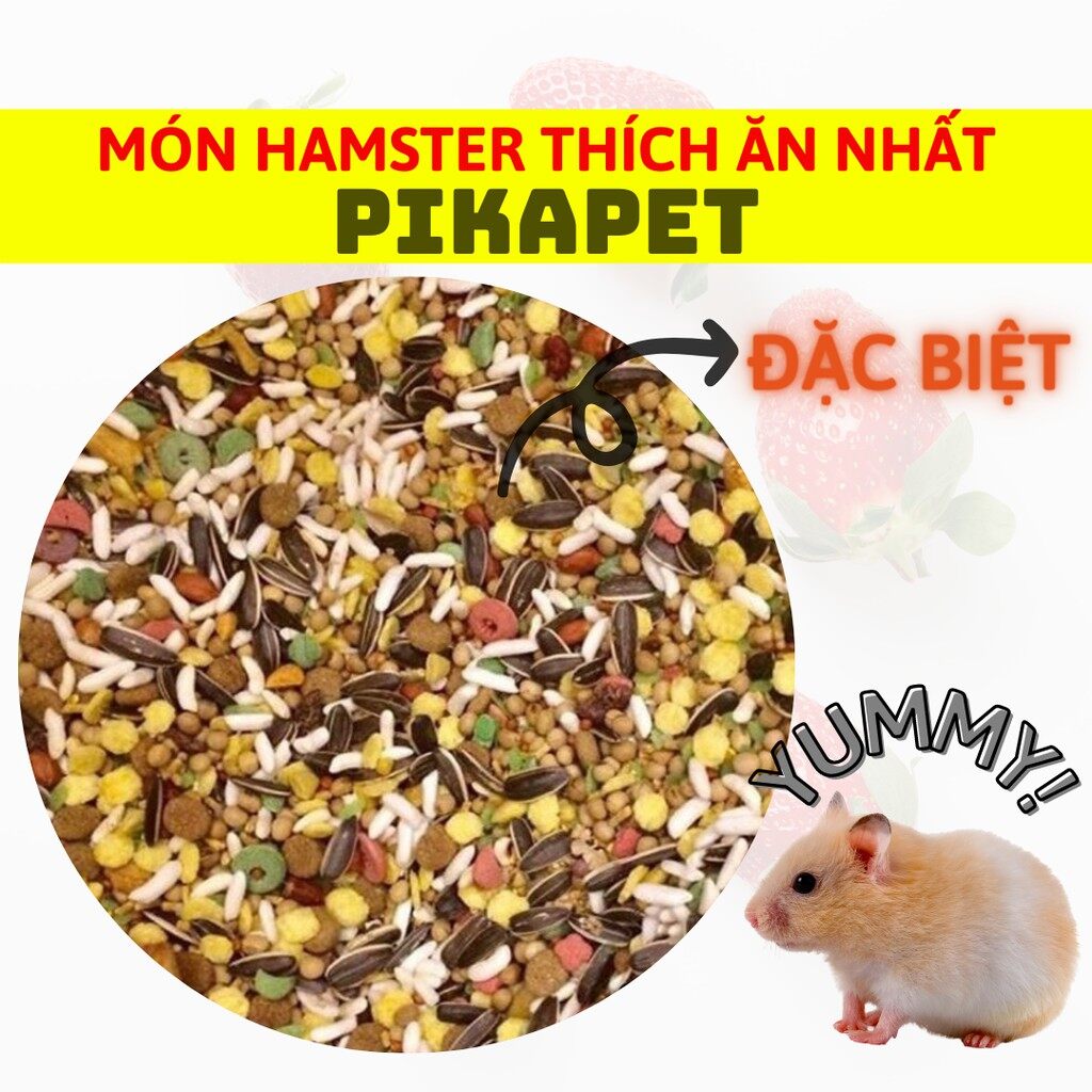 Thức ăn đặc biệt, các loại hạt ngon cho Hamster