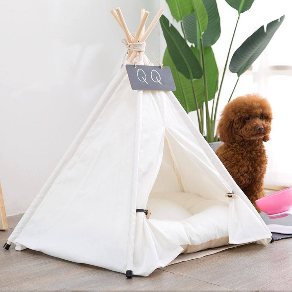 cat tipi