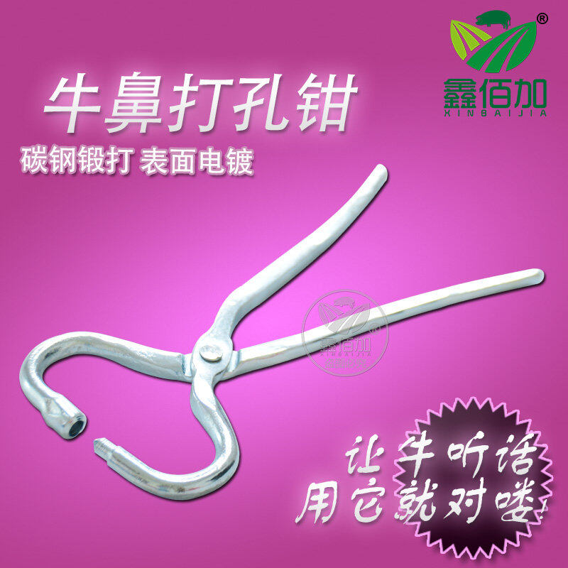 Ox mũi đấm mũi đấm kìm, kìm mũi ox kẹp kéo kim loại, khuyên mũi bò đục lỗ