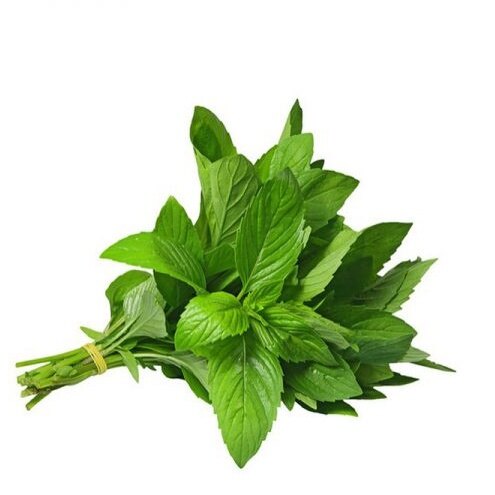 Hạt giống húng trắng gói 2gram