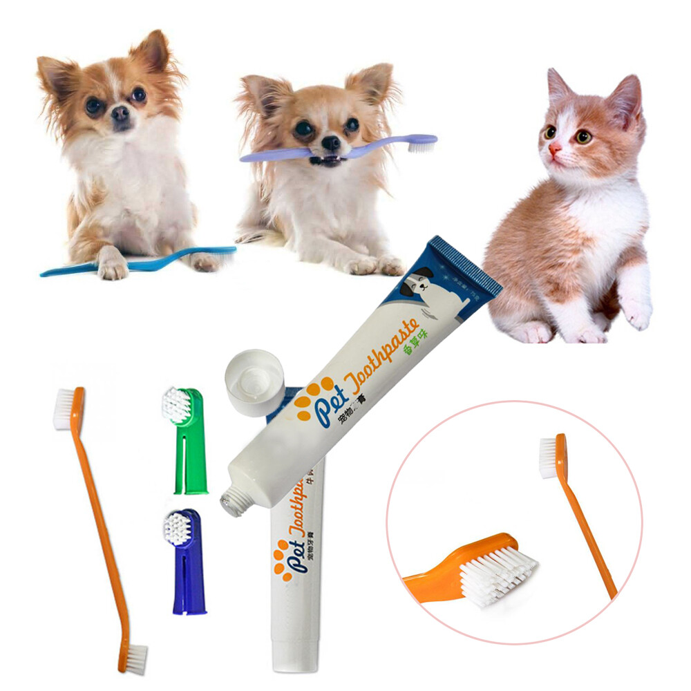 fresh dental dog toothbrush