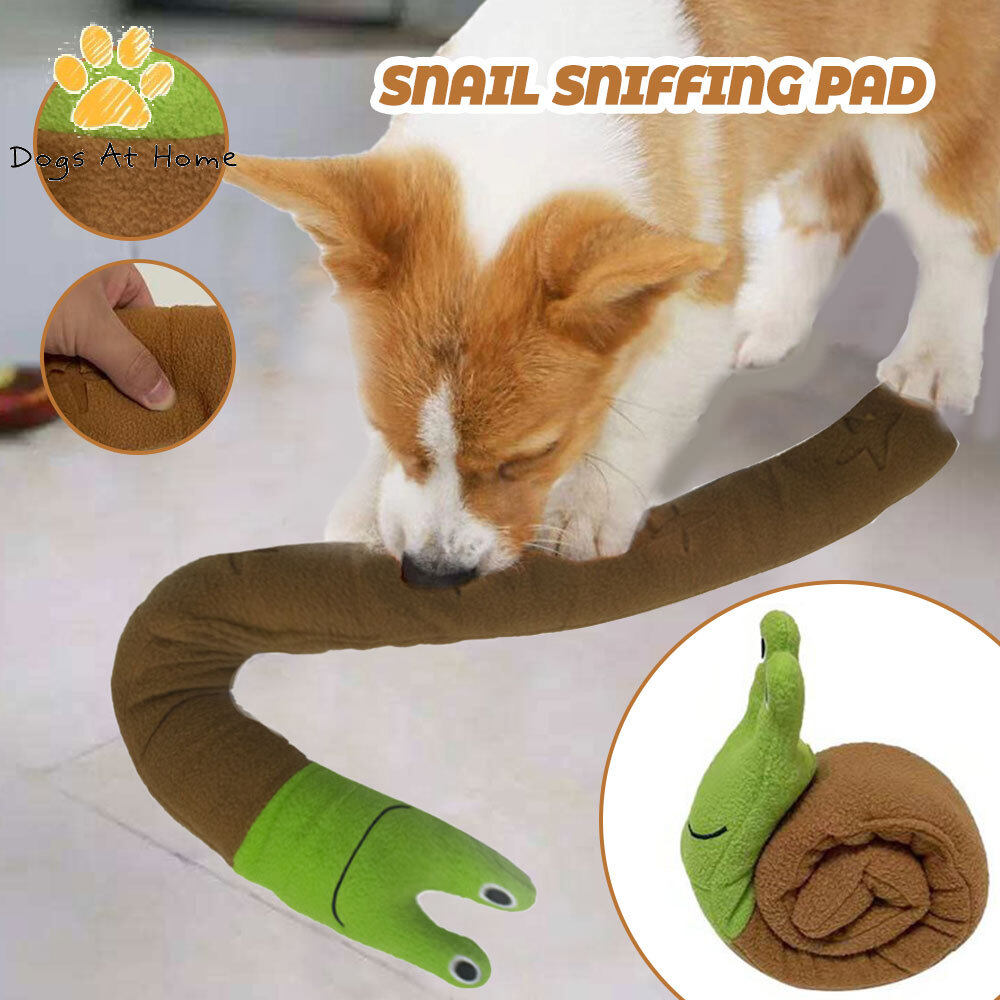 kong snail toy