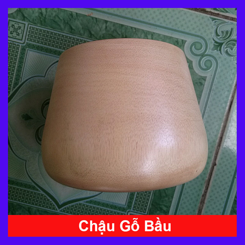 Chậu Gỗ Trồng Cây Hình Bầu - chậu gỗ tự nhiên, đẹp & độc đáo, thân thiện môi trường
