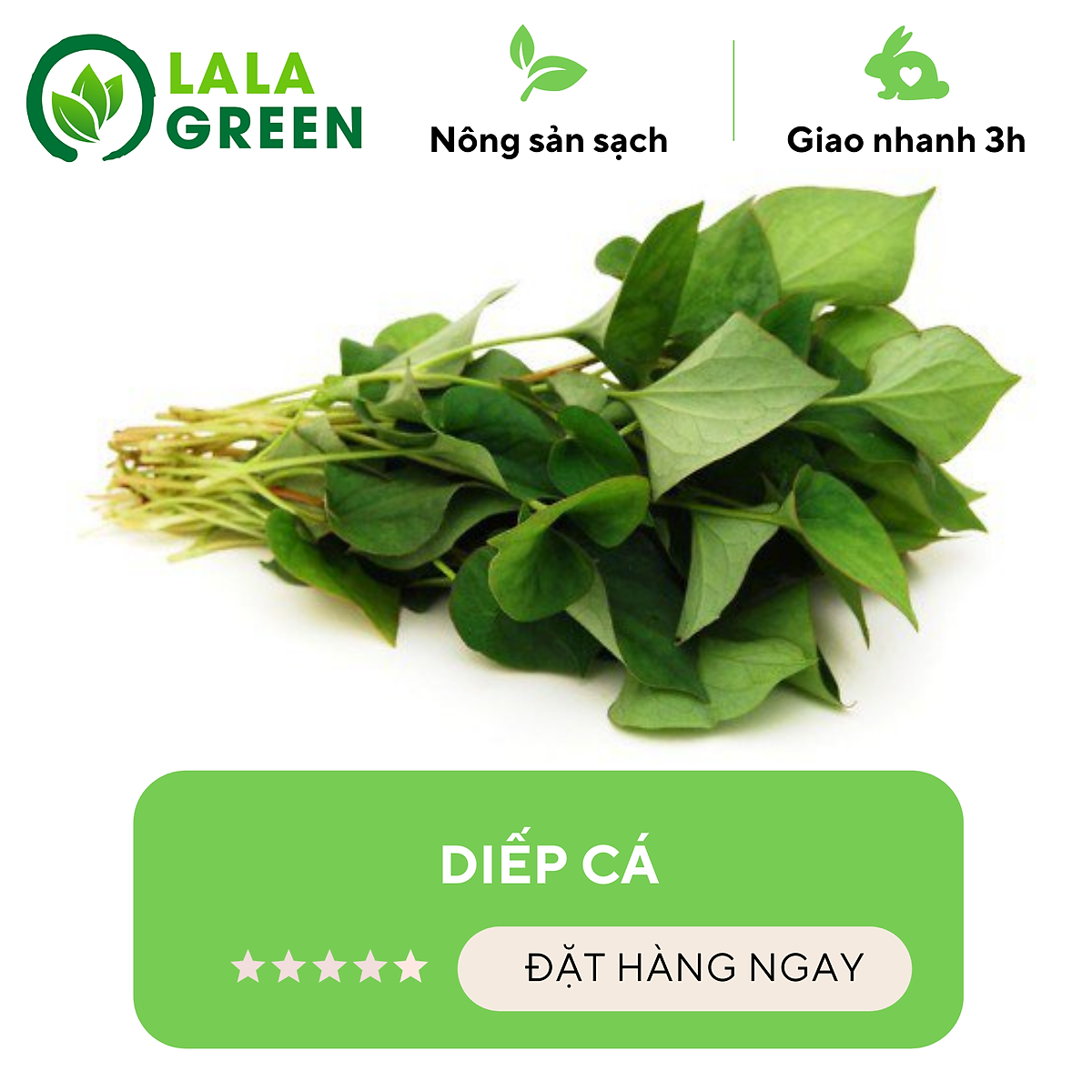 Diếp cá - 1kg