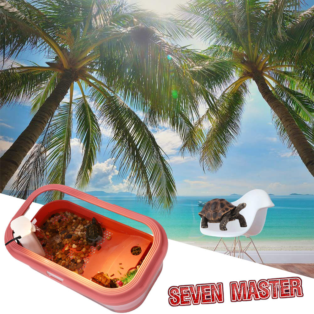 Seven master bể cảnh quan biệt thự bể rùa cỡ lớn bể rùa bể cá sinh thái sáng tạo nhỏ gia đình bể lai