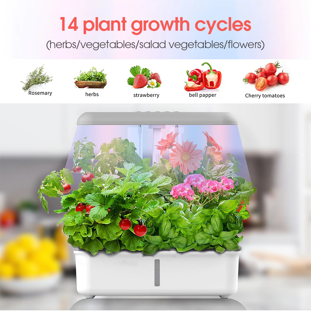 RCYAGO WiFi Smart Plant hydroponic machine Hydroponics Growing System Garden Flowers Herb Seediing Planter Vegetables with tuya app ราคา 5,987 บาท*ส่งฟรี