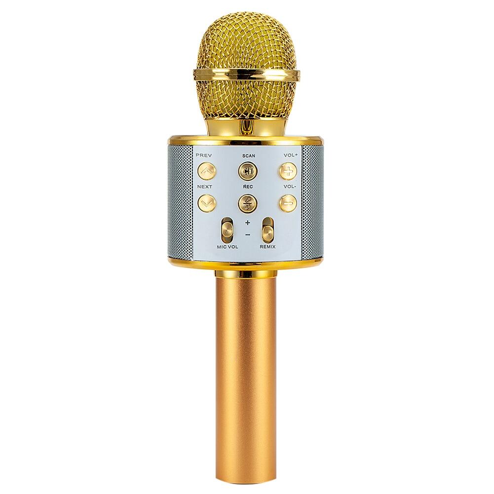 Micro không dây Bluetooth chuyên nghiệp loa micrô cầm tay Mic Karaoke máy