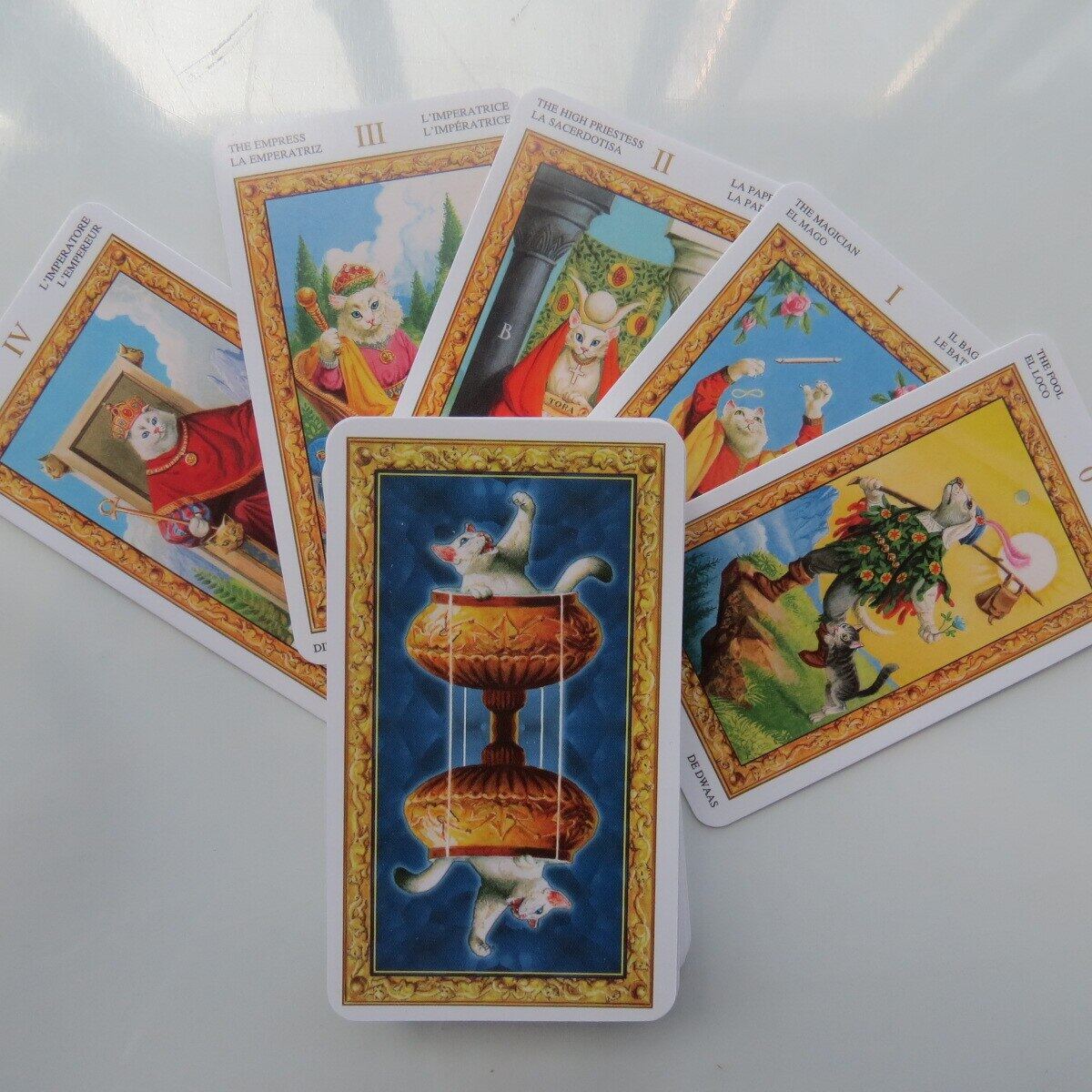 New Tarot boong oracles thẻ bí ẩn bói toán Mèo Trắng Tarot thẻ cho nữ phụ