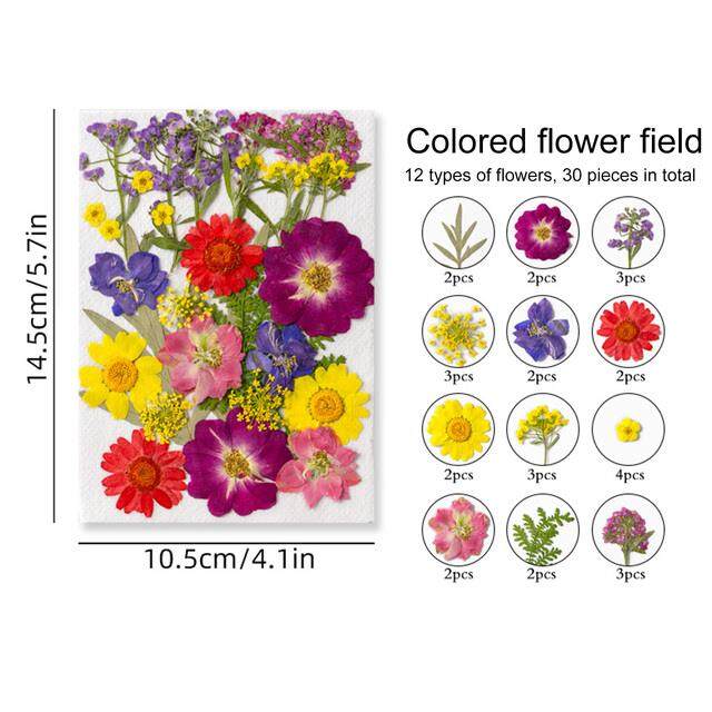 Dried Flowers In Resin How To Preserve Them Mod Podge Rocks 144pcs