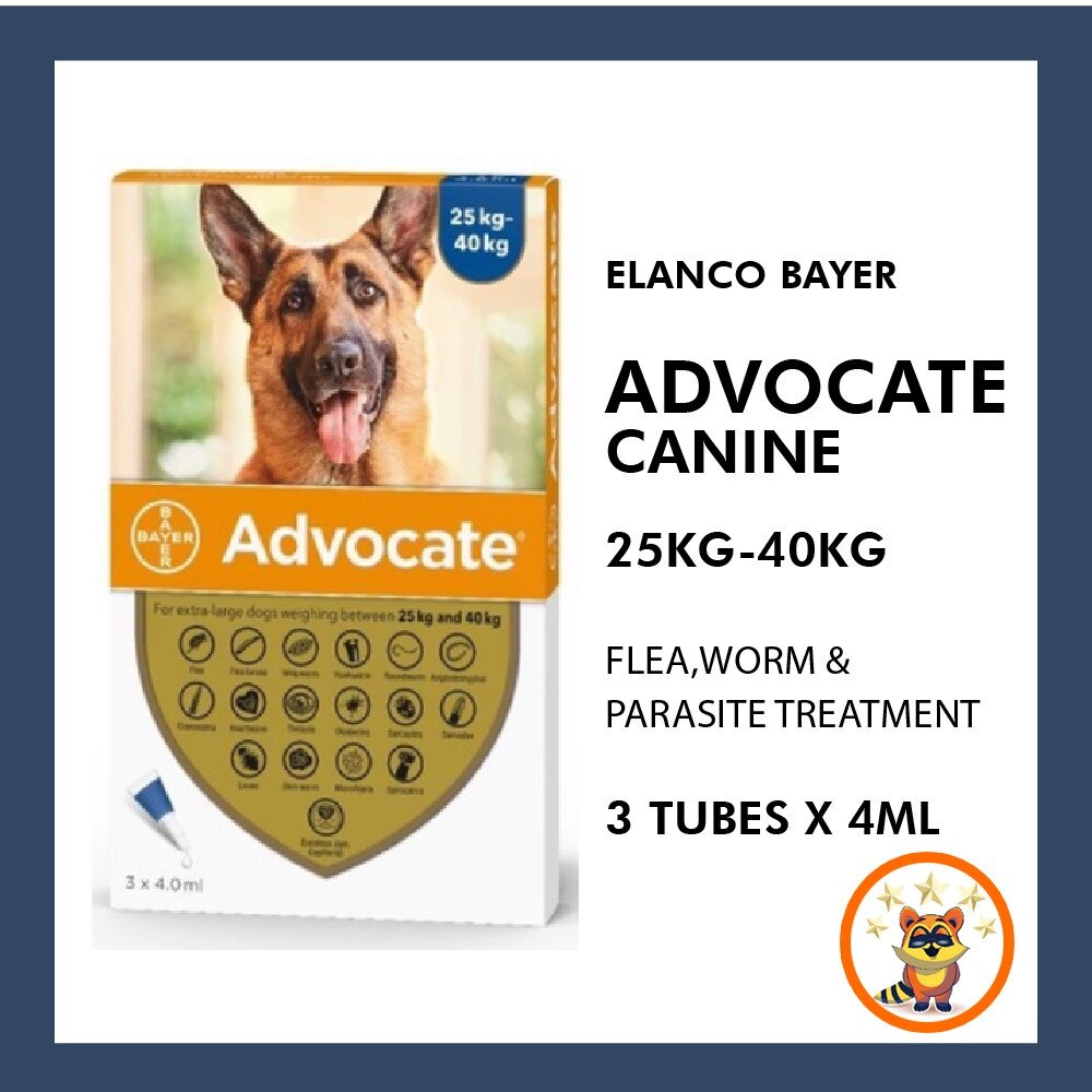 Advocate canine hot sale