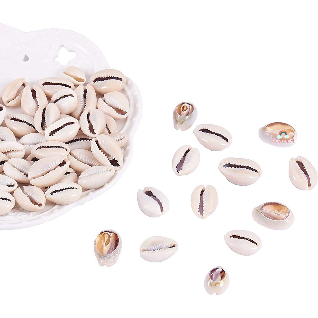 50 pc Natural Cowrie Shell Beads Dyed Seashell Color Size: about 18~20mm long 13~14mm wide 6~8mm thick