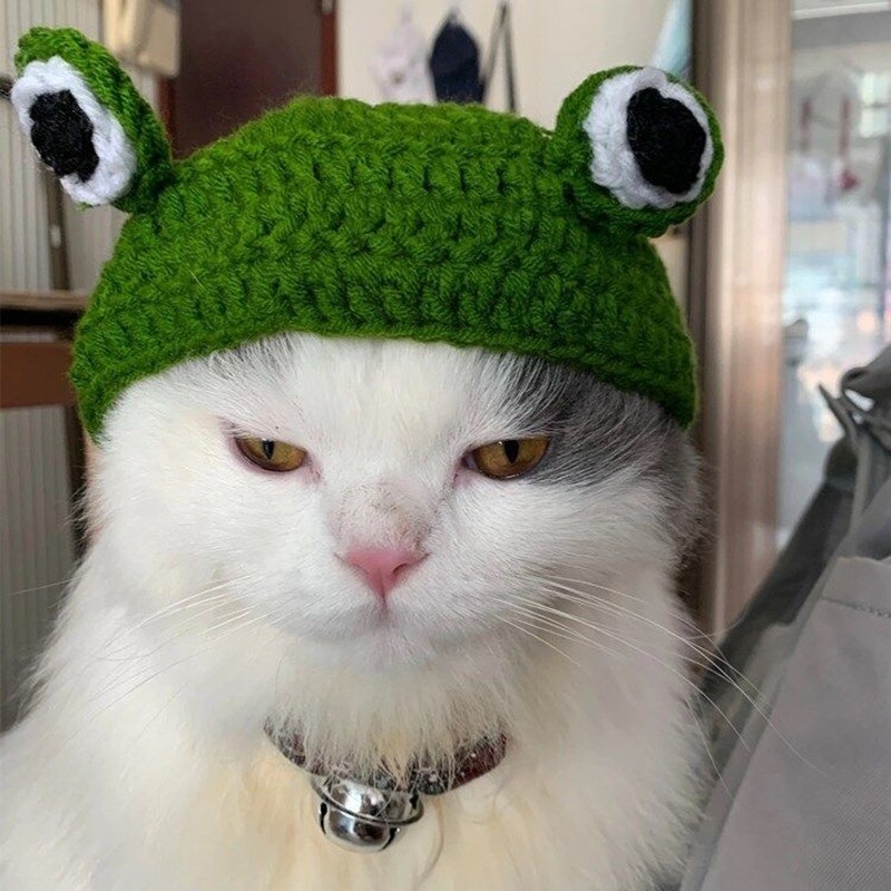 {hat shop} Cat Puppy Knitted Hat Handmade for Pet Dogs Cute Frog Shape Headgear Fun Photography Socialization