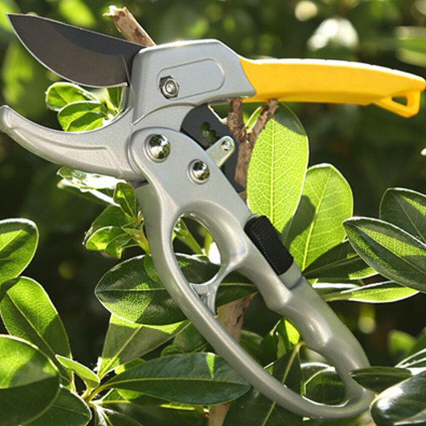 Kéo cắt tỉa cho làm vườn thép carbon cao cây làm vườn scis-sor chi nhánh pruner dụng cụ làm vườn