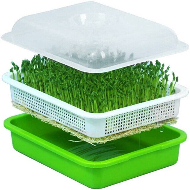 Seeds Sprouter Tray With Lid Bean Sprout Grower Home Sprouting Plate Seedling Double-Layer Plastic Tray No Dirt And Big Capacity
