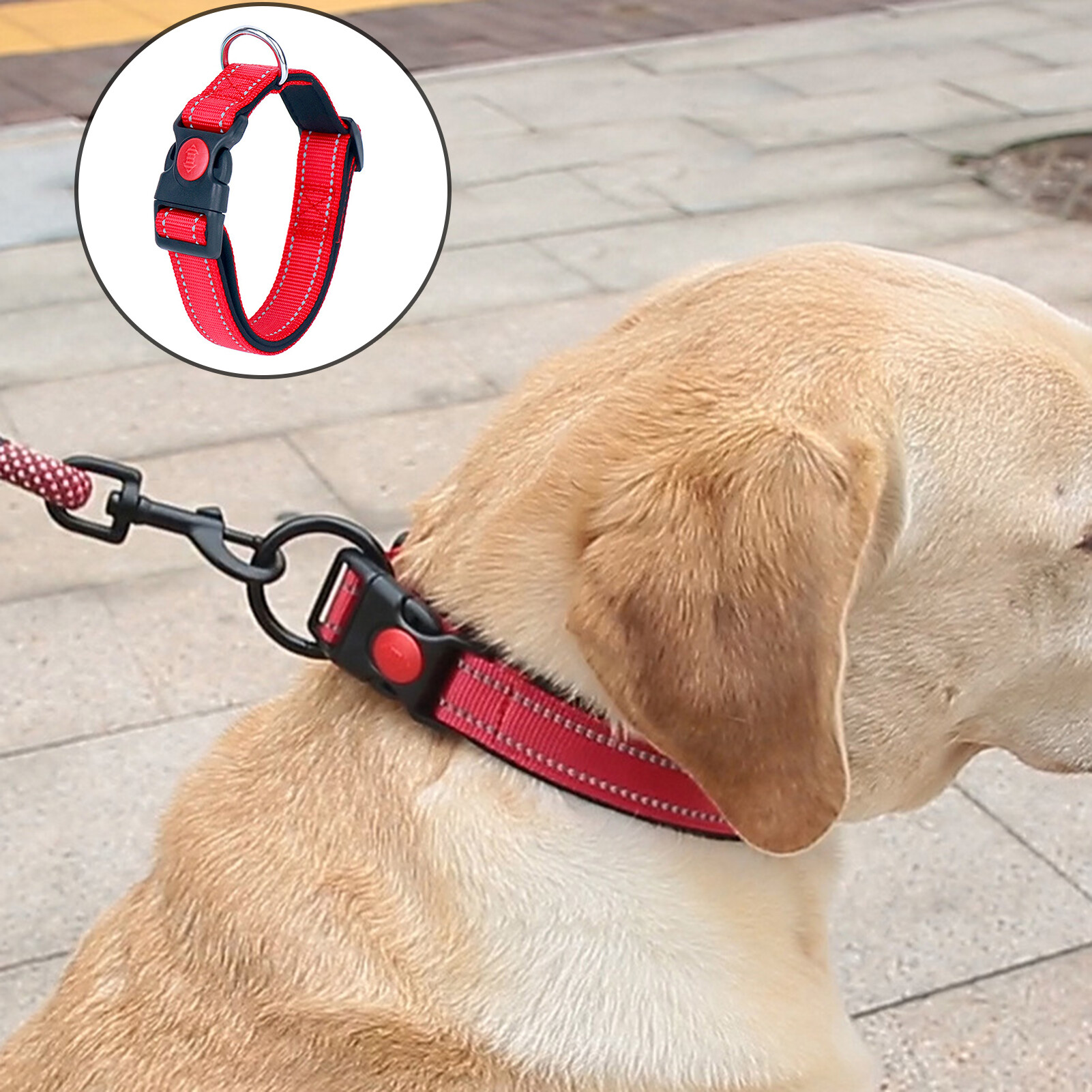 DADAGOU Pet Collar Adjustable Length Reflective Strap Buckle Closure Safety Lock Metal D-ring Reflective Padded Nylon Dog Collar for Small Medium Dogs Durable Pet Collar