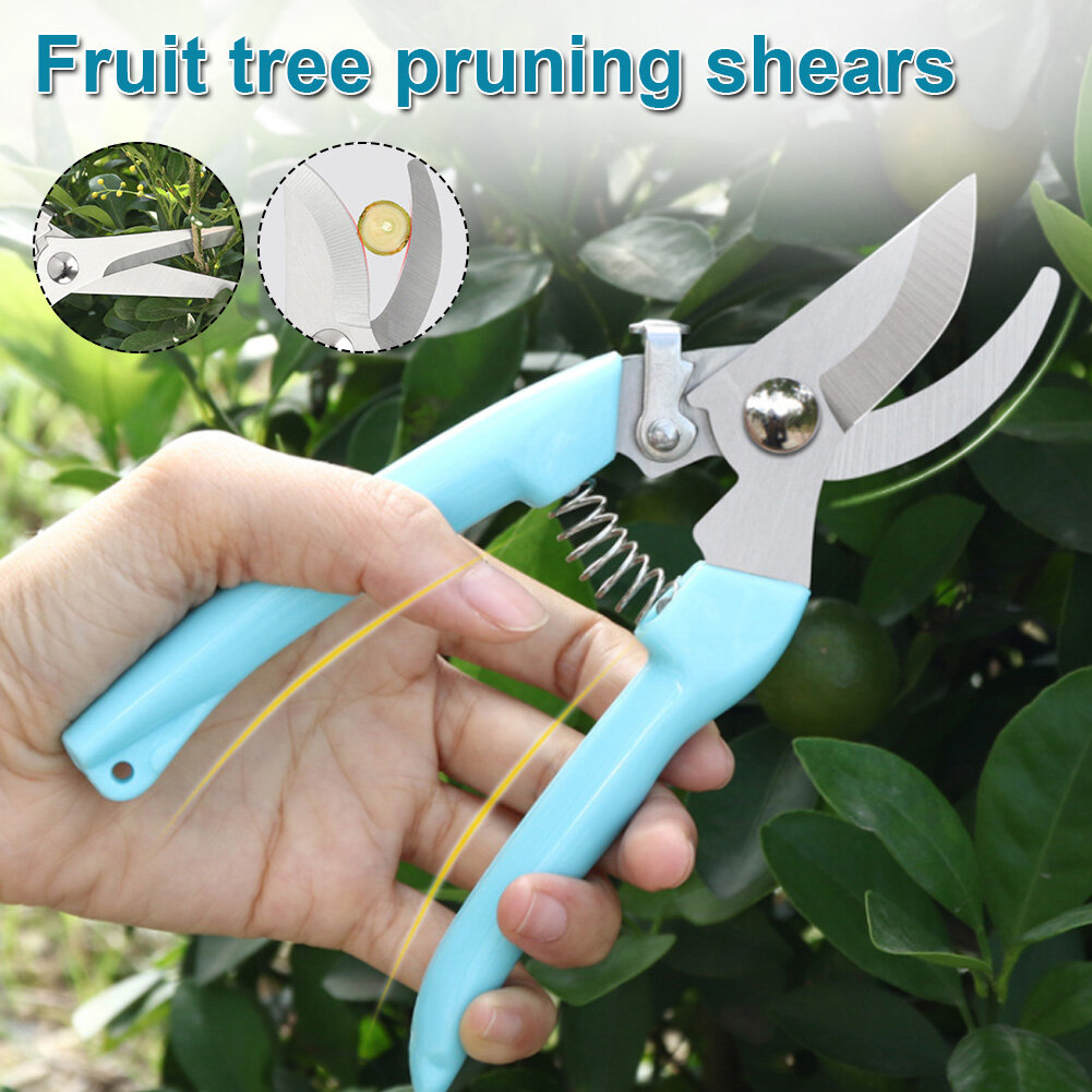 Egkéo cắt tỉa kéo cắt tỉa cầm tay bằng thép không gỉ sắc bén kéo cắt cành hoa quả kéo cắt tỉa với lưỡi cong thẳng cho vườn