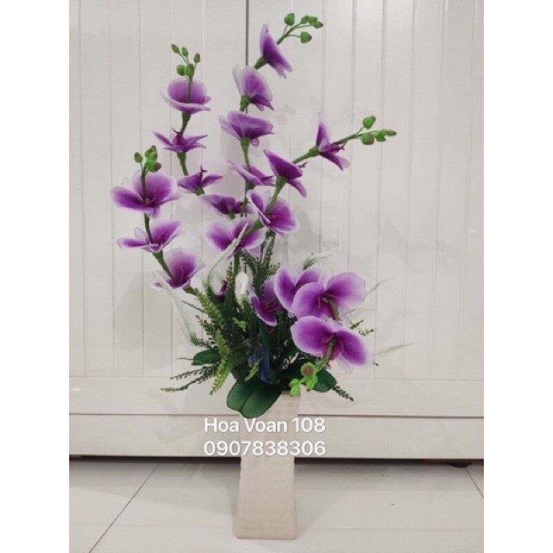 Chậu hoa voan lan hồ điệp cao 75cm