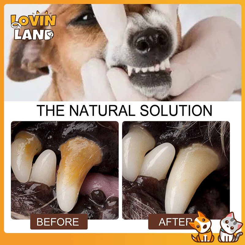 Lovinland làm sạch răng phun cho Chó & Mèo Pet vệ sinh răng miệng cao răng