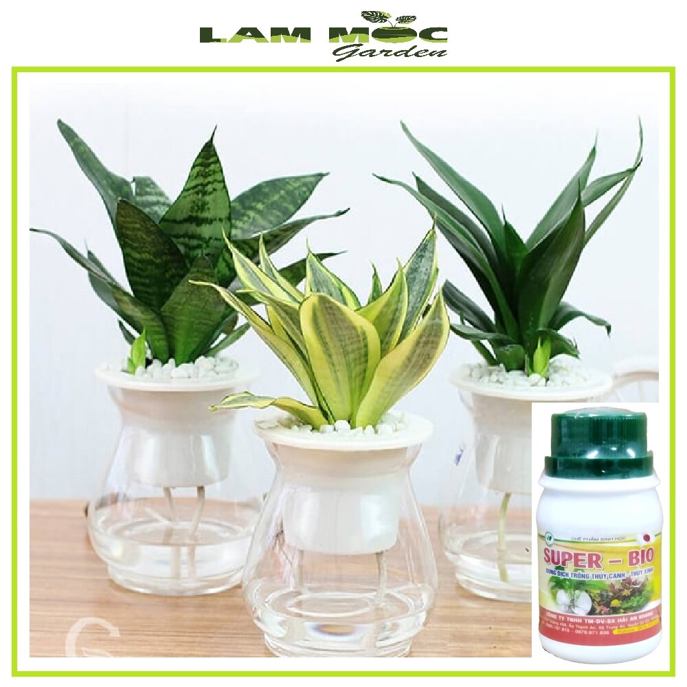 Dung dịch trồng thủy canh - thủy sinh super bio 100ml