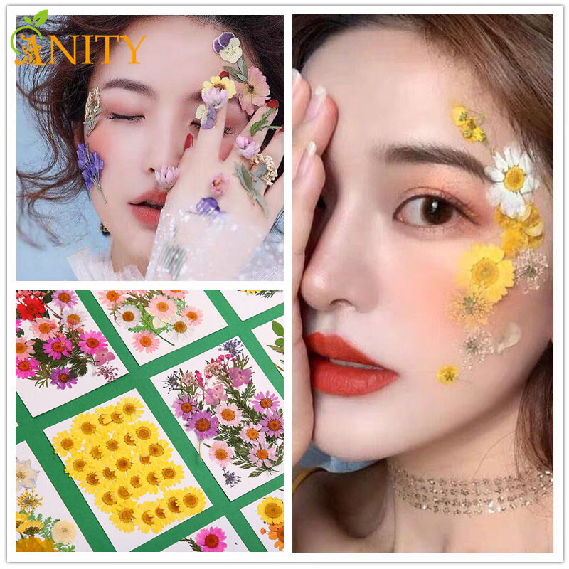 ANITY Bộ Sưu Tập Hoa Khô Hỗn Hợp Hoa Khô Nghệ Thuật Tự Làm, Quà Tặng Thủ Công, Tự Làm