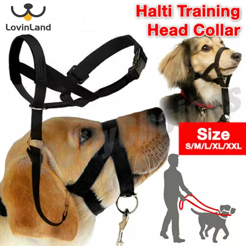 Lovinland dây xích bằng nylon dây đeo mõm thú cưng dây đeo miệng chó có thể điều chỉnh dây đeo mõm thú cưng chống sủa ngừng cắn nhai cho chó nhỏ lớn