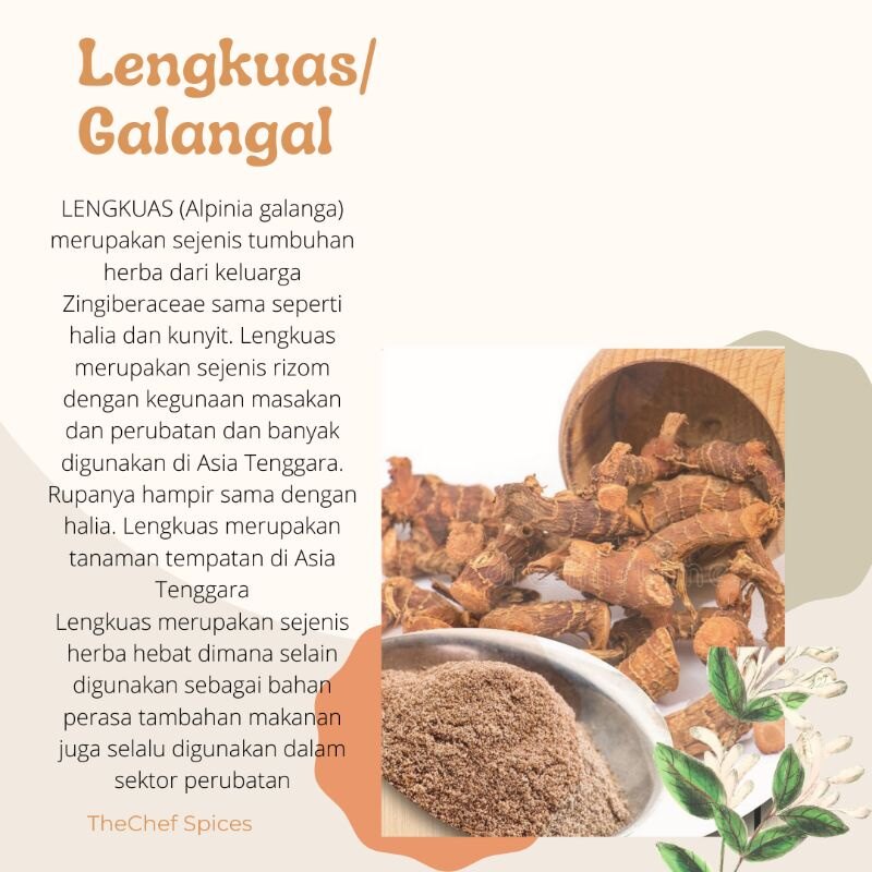 Halal 100 Lengkuas Premium Asli Pure Galangal Premium 100g Natural Organic Spice Rempah Seasoning Herb Groceries Lazada