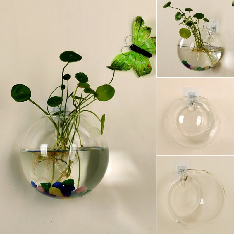 Bình thủy tinh chậu thủy canh treo tường bể cá chậu hoa trồng trong chậu 8cm
